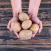 Potatoes in a man's hands on a dark wooden background. top view.